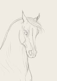 How To Draw Horse Faces Horse Drawings Horse Art Drawing Horse Face Drawing