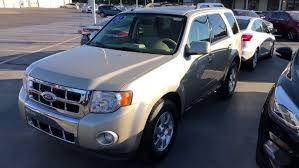 Image result for Gold Leaf 2012 Escape