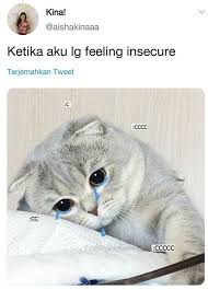 Maybe you would like to learn more about one of these? Netizen Ini Curhat Pakai Foto Kucing Bukannya Sedih Malah Ngakak