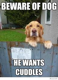 Cuddling Quotes With Your Dog Quotesgram Puppy cuddle famous quotes & sayings: cuddling quotes with your dog quotesgram