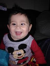 Growing large pumpkins