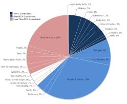 pie chart percentage of u s women dress size google