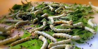 More an icon used to represent a menu that can be toggled by interacting with this icon. Silk Fabric Made Of Natural Fiber Spun By Worms Eco World