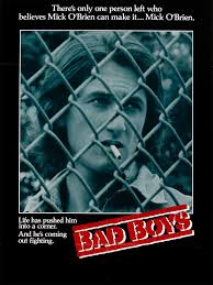 Bad Boys | Rotten Tomatoes