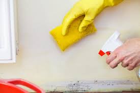 Am I Safe at Home During Mold Removal?