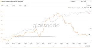 Why did it crash so far? Bitcoin Whale Watching This Metric That Called The 2017 Top Is Now Flashing Red