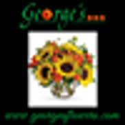 We'll keep you updated with additional codes once they are released. George S Flowers Roanoke Va Alignable