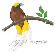 We did not find results for: Gambar Burung Cendrawasih Kartun