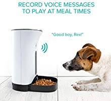 Amazon Com Arf Pets Automatic Pet Feeder Food Dispenser For