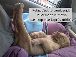 Cancer, cancer, qui est le prochain? 22 Images Et Photos Avec Tag Bon Week End Humour Bonnesimages