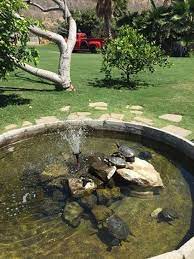 Diy Backyard Turtle Pond Designs Ideas 16 Turtle Pond Diy Pond Outdoor Ponds