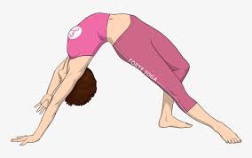 Start your free trial today! Wild Thing Yoga Pose Wild Thing Sanskrit Transparent Png 900x675 Free Download On Nicepng