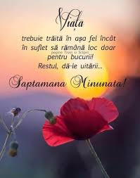 Viata Ta Iti Aprtine Francisc In 2020 Good Morning Inspirational Quotes Morning Inspirational Quotes Motivational Words