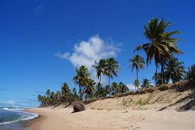 El salvador | central america's gastronomic and archaeological adventure go to full article here. Von Salvador Da Bahia Zu Den Traumstranden Brasiliens