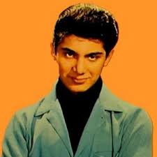 Unchained Melody — Paul Anka