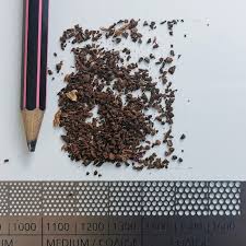 I bread maker review resultat election calvados departementale lenovo a780 custom rom prismatiske. The Grind Size Chart My No Bs Guide To Grinding