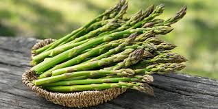 Image result for Asparagus richardsiae