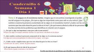 Como llenar el cuadernillo 6 entero. Cuadernillo 6 Semana 1 Dia 1 Actividades 1 Y 2 De Sexto Primaria Youtube