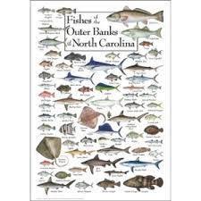 North carolina state baseball players who were one win away from playing for a national championship reacted with anger and confusion to. North Carolina Puzzle Collection Jigsaw Puzzles