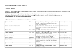 Image result for Fuirena pachyrrhiza