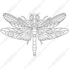 Pin On Dragonfly