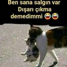 Mine Baygun Adli Kullanicinin Yasam Dair Sozler Panosundaki Pin 2020 Komik Capsler Komik Mizah