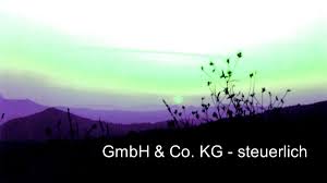 We did not find results for: Gmbh Co Kg Steuerlich
