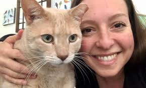 It's kitten season in the City of Hamilton