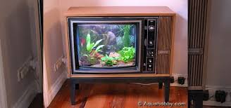 She decided she needed more room in the pantry for othe… How To Turn An Old Tv Into A Sweet Fish Tank Macgyverisms Wonderhowto