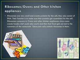 We'll track players' scores to their emails, names or another identifier of your choice. What S An Analogy For Ribosomes