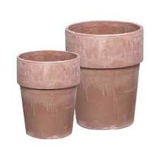 Di piante grasse da interni ce ne sono veramente tante ma sicuramente quelle che risaltano maggiormente oggi parliamo di come decorare casa con piante grasse. Linoows Vaso Per Piante Busti Helena Fioriera Vaso Da Fiori In Calcestruzzo Grigio Bianco Cancellato 21 Cm Utensili Per Il Giardinaggio Vasi E Accessori Per Piante