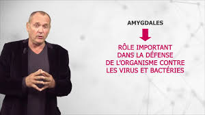 Barbara a décidé de se faire opérer des amygdales comme son fils gaspard. Ablation Des Amygdales Operation Alimentation Effets Secondaires