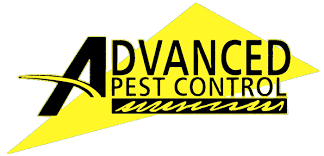 Destination bryan plans to develop multiple tourism events throughout the year. Pest Control Services In Bryan College Station Tx Advanced Pest Control
