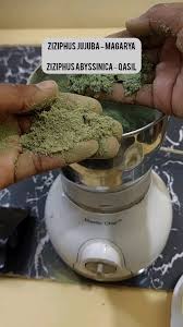 Image result for Ziziphus abyssinica