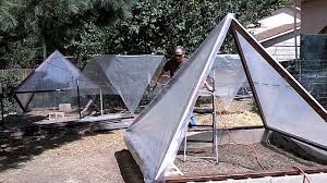 Check spelling or type a new query. 95 Diy Greenhouse Plans Learn How To Build A Greenhouse Epic Gardening