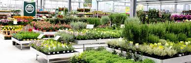 In unserem shop erhalten sie liebevoll ausgewählte dinge für ihren garten oder ihr zuhause. Dehner Garten Center In Dresden Dehner