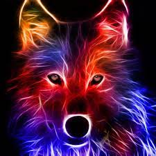 4k Resolution Neon Wallpaper Hd June 2011 Moving wolf wallpapers 72 images. 4k resolution neon wallpaper hd june 2011