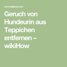 Der preis für eine teppichreinigung wie viel kostet ein orientteppich zu reinigen? Pin Auf Urin Entfernen