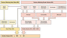 Cardiac Output Wikipedia