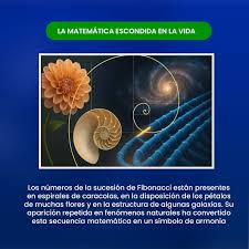 ✨ ¿Sabías que la sucesión de Fibonacci está en todas partes? ✨ Desde la espiral de una caracola , la forma en que crecen los pétalos de una flor o la