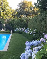 54 Likes 2 Comments Gregory Shano Gbsnyc15 On Instagram Perfect Night Perfect Light Swimming Pool Landscaping Pool Landscaping Amazing Swimming Pools