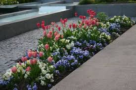 Long Narrow Bed Design Perennial Garden Design Flower Garden Design Flower Garden Plans