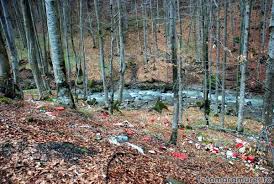 Check spelling or type a new query. Poluarea Text Images Music Video Glogster Edu Interactive Multimedia Posters