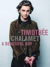 За роль в романтической драме «назови меня своим именем» был номинирован на премию «оскар». Amazon Com Timothee Chalamet A Beautiful Boy 9780859655651 Plexus Editors Of Books