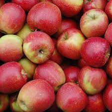 Der apfel hat wenige kalorien, viele vitamine und einen hohen nährwert. Wellant Apfel 5kg Der Herzapfelhof Im Alten Land