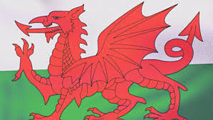 Image result for red dragon Wales flag