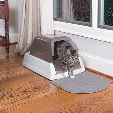 Sometimes, health problems like urinary tract infections, diabetes, cancer, or kidney problems underlie changes in litter box use. Choosing The Best Litter Box For Your Cat Or Kitten Petco