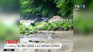 Cele mai bune panouri ale utilizatorului adriana cernea. Qvukffwaljmodm