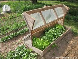 Timeline Photos Food Independence Facebook Garten Gewachshaus Erhohte Beete Garten Und Outdoor