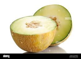 Image result for Cucumis melo